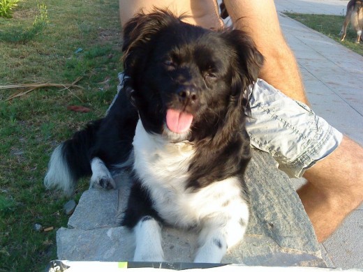 En el parque En el parque